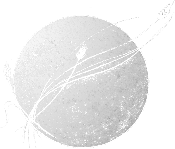 M1237